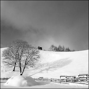 snowland 008, photography by Yein. South korea , January 27 , 2009. Rolleiflex fw / kodak 100tmy. Toned gelatin silver print. In Nature, Scenery