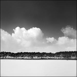 snowland 009, photography by Yein. South korea , January 4 , 2009. Rolleiflex fw / kodak 100tmx. Toned gelatin silver print. In Nature, Scenery