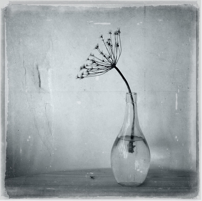 Vista dangerous by akon dave free game dangerous dave free game