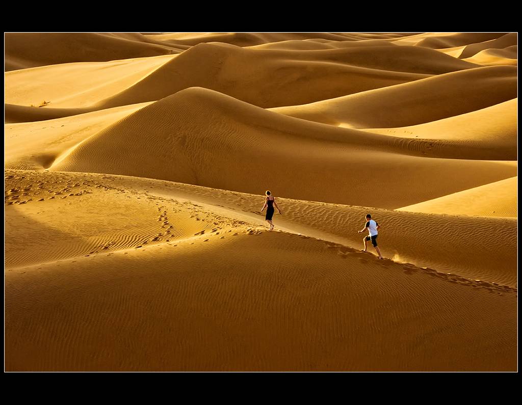 Wait Me!, photography by Alessandro Rovelli. A lucky shooting in Morocco Desert.. Pentax K20 + Pentax zoom 50/200. digital. In Nature, Scenery, Countryside