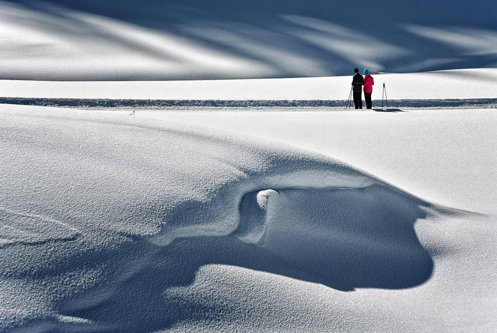 The Bear And The Skiers, photography by Alessandro Rovelli. Val Pusteria ( North Italy ). Pentax K20. Numerique. In Nature, Scenery, Mountain