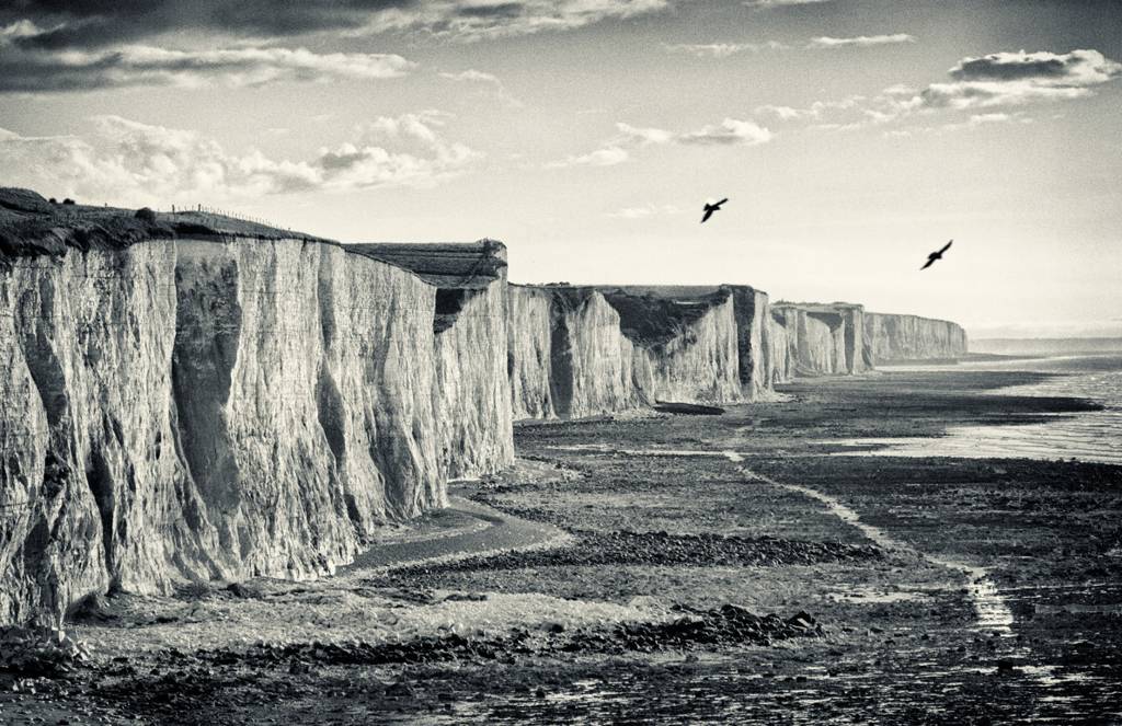 en France, Nord-Est. Pentax K20. Numerique. In Nature, Scenery, Beach. Classicscape With Original, True Birds, photography by Alessandro Rovelli. Image #380191