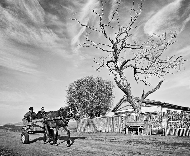 Untitled, photography by Viktor Piktor. one morning in a village in Moldova....... sony alpha 900+carl zeiss 24-70 f/2.8. In People, Everyday, Countryside