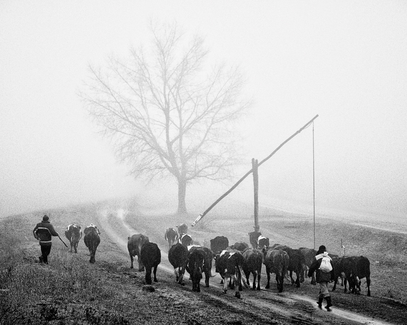 One Morning In Moldova, photography by Viktor Piktor. In People, Everyday, Countryside