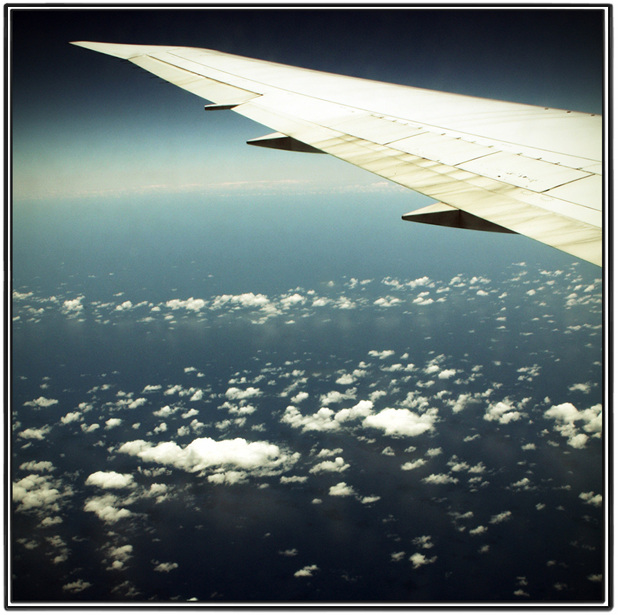 Wing in the Sky, photography by Jun Song. In Transportation, Air, aircraft