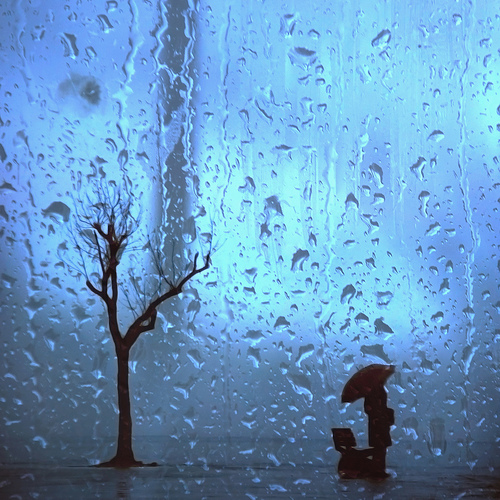 rain, Artwork by Tayfun Eker. nikon d80 - 18-135mm