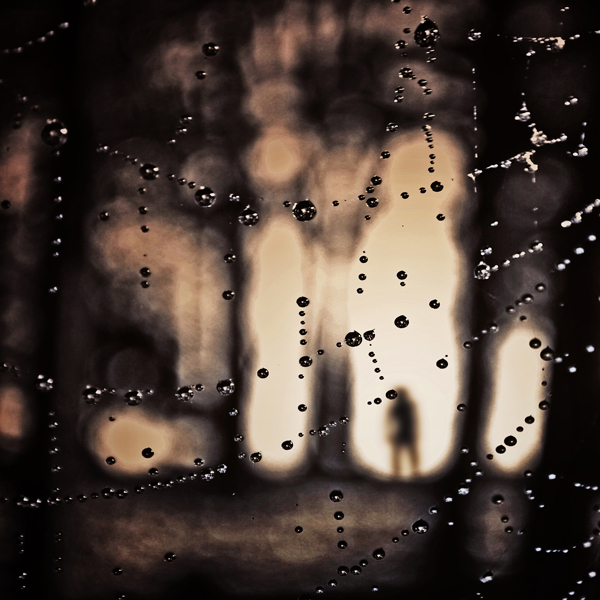 Spider'S Teardrops, photography by Tayfun Eker. nikon d80 - nikkor 18-135mm