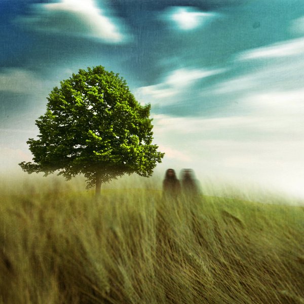 E C H O E S, Artwork by Tayfun Eker. nikon d80 - nikkor 18-135mm