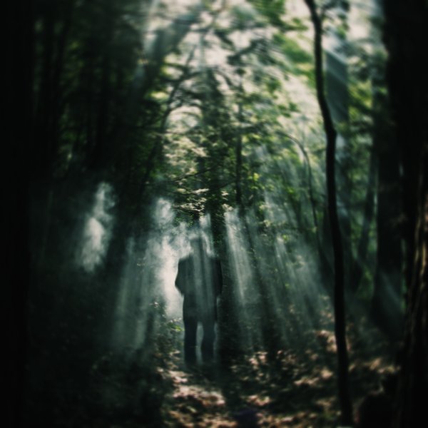 Spirit Of Life, photography by Tayfun Eker. nikon d80 - nikkor 18-135mm. In Nature, Vegetal, Tree, forest