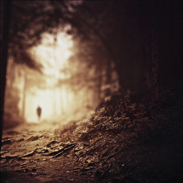 Farewell To Fairground, photography by Tayfun Eker. nikon d80 - nikkor 50mm. In Nature, Vegetal, Tree, forest