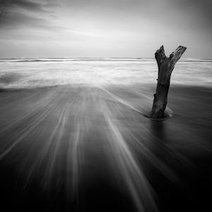 y by Jean-baptiste Senegas