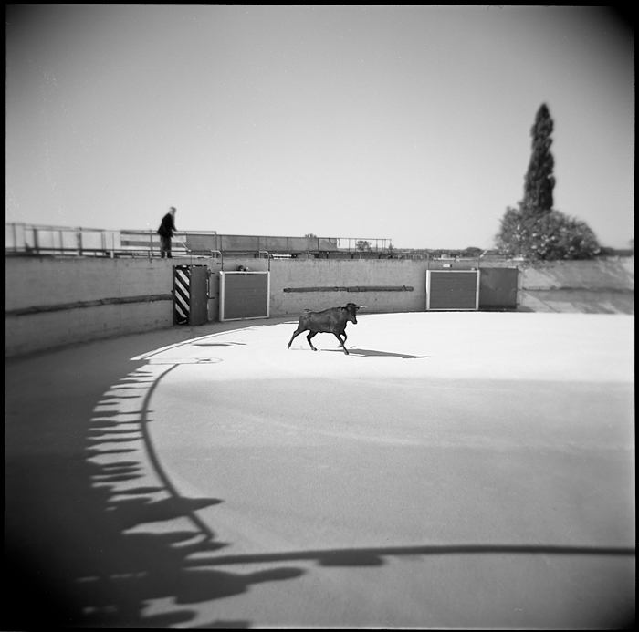 Holga. In Event, Show. Les Ar&egrave;nes, photography by Jean-baptiste Senegas. Image #233771