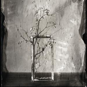 Bouquet#5 by Jean-baptiste Senegas