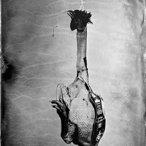 Le Suicide Du Poulet by Jean-baptiste Senegas