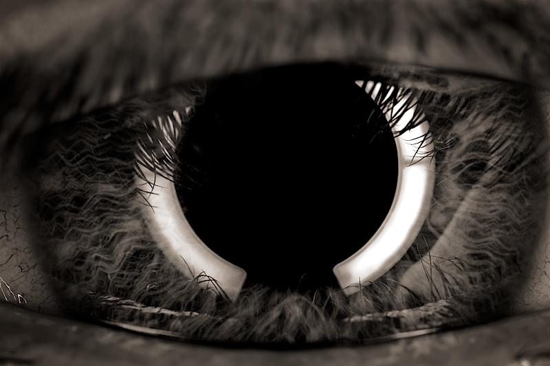 Door to the soul, photography by Dirk Zugenmaier. MP-E 65, 1DsIII. In People, Miscellaneous