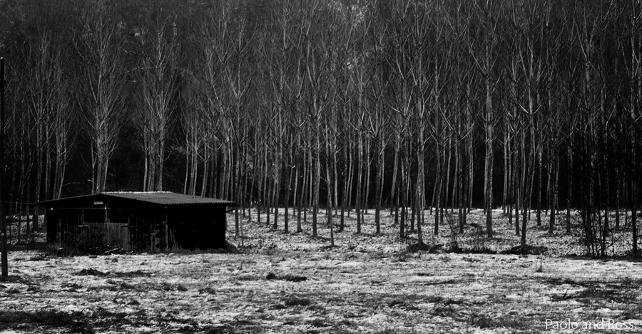 Moonlight, photography by Paolo Cola. n. In Nature, Scenery, Countryside