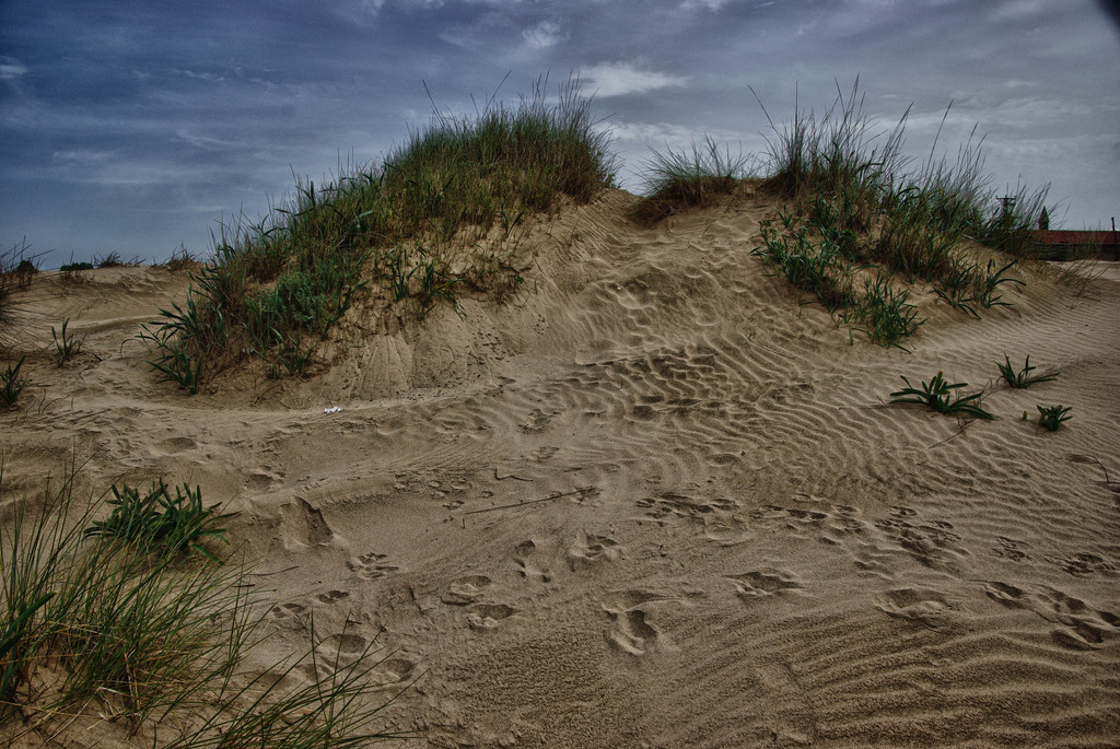 Dunes, Artwork by Henri Hadjari. pentax k10. photoshop,lightroom