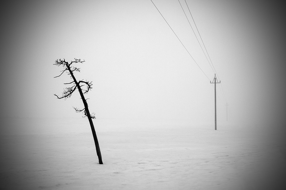 The Day After, photography by Niels Christian Wulff. Canon 40D  +  EF 24-105mm. L IS USM. In Nature, Scenery, Countryside