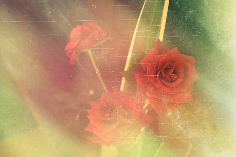 Passed, Artwork by Nut Phanlunkkarn. In Nature, Vegetal, Flower, plant