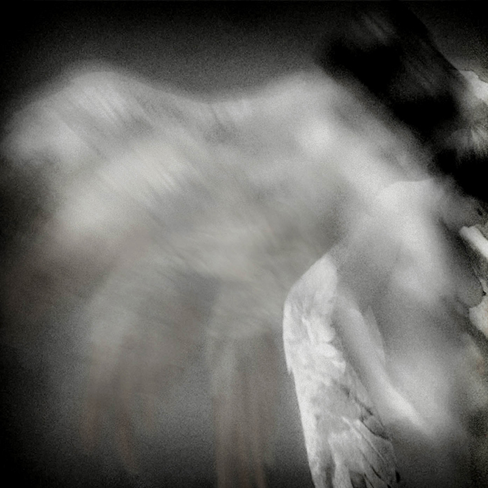 Have You Seen The Drop Zone...?, processing by Philippe Gentet. In People, Nude, Female
