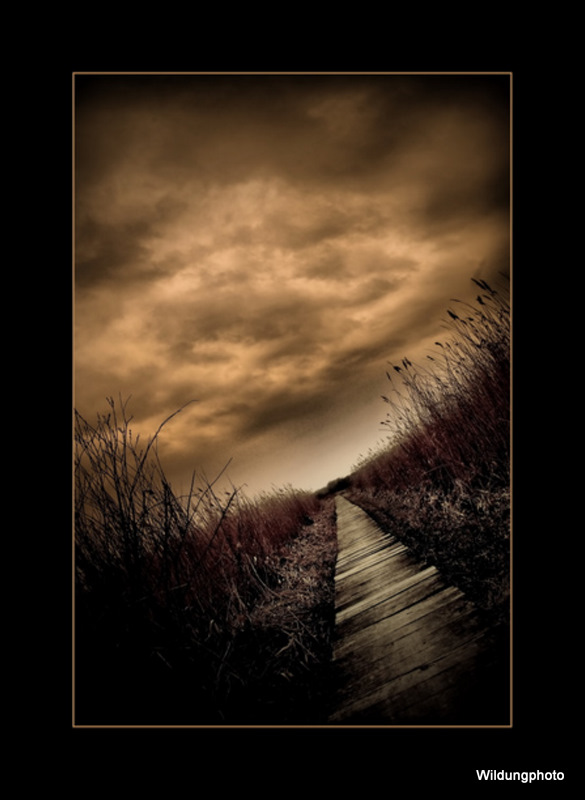 Untitled, processing by Gyozo Kiraly