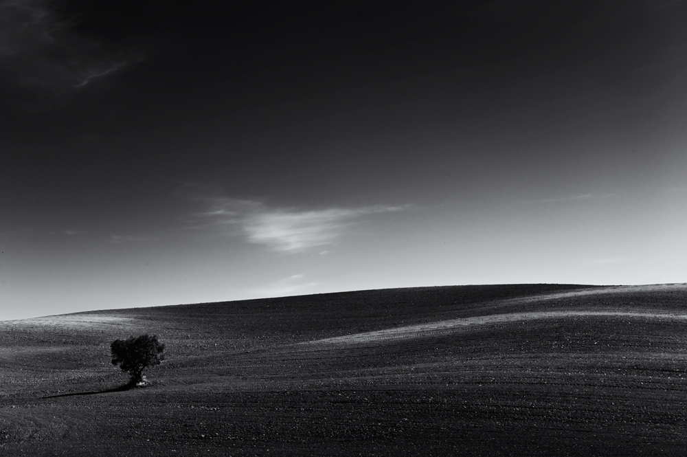 Isolation, photography by Raskolnikov3 Jorge. In Nature, Scenery, Countryside