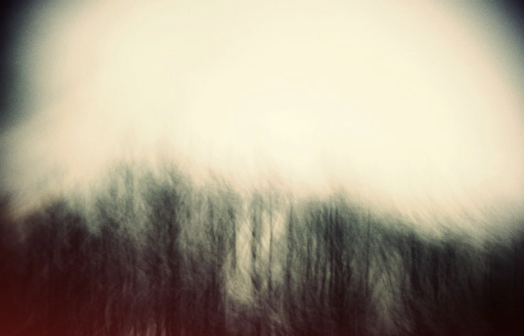 wald1, Artwork by Anika Kuntze. since I draw very much some of my interests go to creating such images with the help of photografie.. nikon. f&ouml;tografie, digitale Bearbeitung. In Nature, Vegetal, Tree, forest