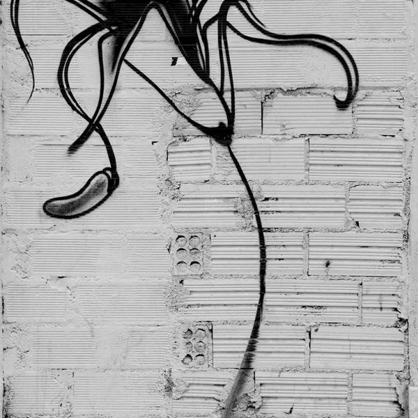 Wall, photography by Manel Montilla. nikon
