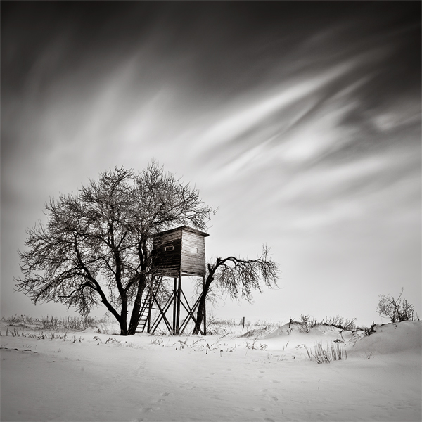 Tree House, photography by Cezary Modzelewski. In Nature, Scenery, Countryside