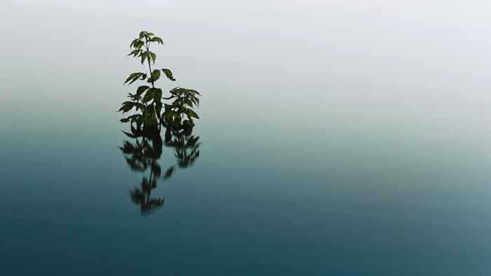 Untitled, photography by F X K. Canon EOS 550D. In Nature, Scenery, Waterscape