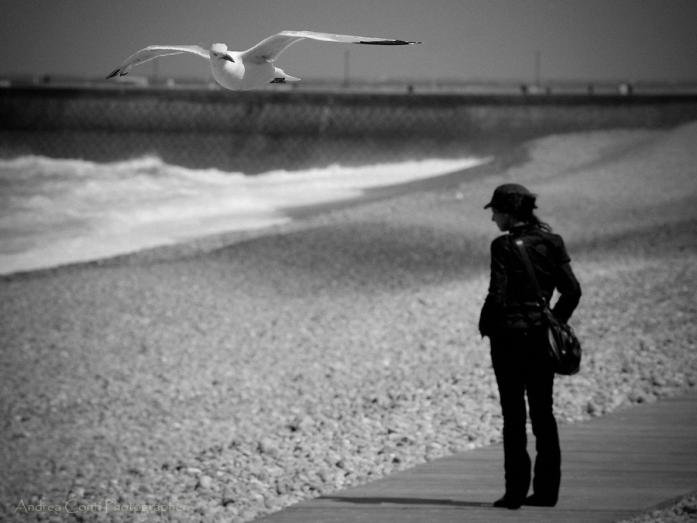 Silent Dialogs, photography by Andrea Conti. Nikon D300, Nikon 80-200 f/2.8 ED II. Shoot at the right moment. In Nature, Animal, Bird