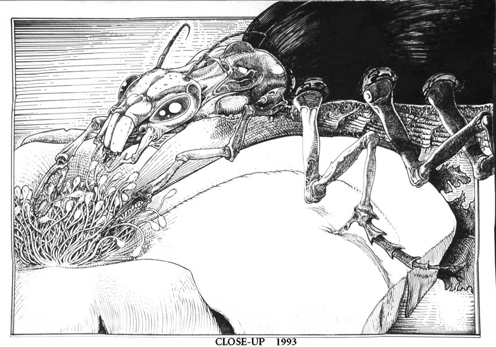 Insect, drawing by Marc Hermitte. I always loved china ink and pen techiques. One of my early attemps.... China ink, pen. crossatch, ink drawing. In Nature, Animal, Insect