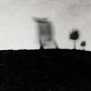 The Wind Is A Lady by Sabrina Lesert