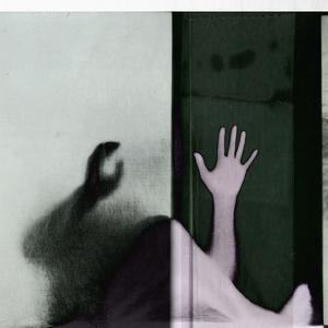 Norbert by Sabrina Lesert