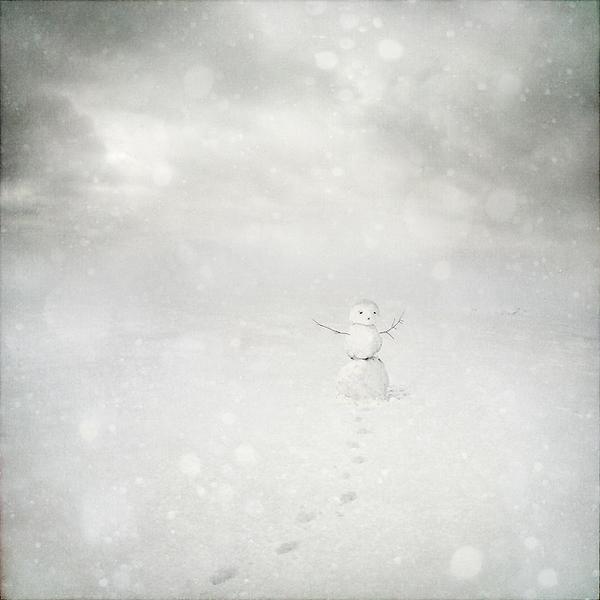 Untitled, processing by Sarolta B&aacute;n