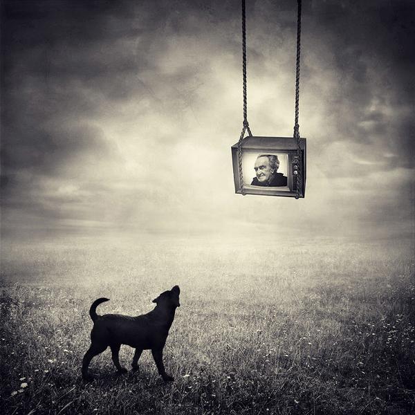 Untitled, processing by Sarolta B&aacute;n. In Nature, Animal, Domesticated