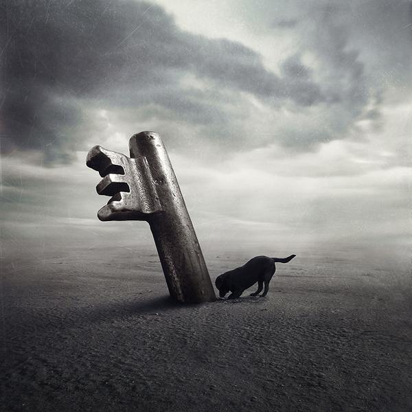 Untitled, processing by Sarolta B&aacute;n. In Nature, Animal, Domesticated