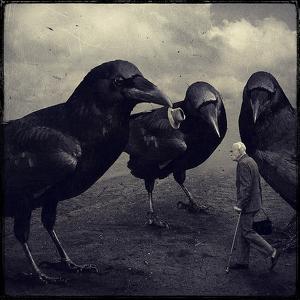 Untitled by Sarolta B&aacute;n