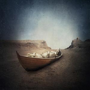 Theory by Sarolta B&aacute;n