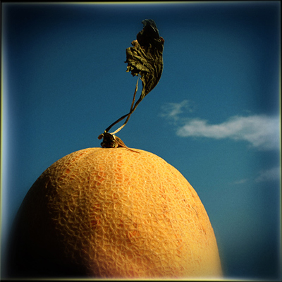 Melon, photography by Andrian Kozin. Digital camera. In Object, Food