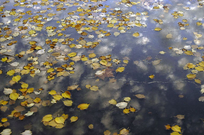 Tra Cielo E Mare ... La Natura Compie Il Suo Ciclo, photography by Rita Carioti. Nikon. Digital. In Nature, Scenery, Waterscape
