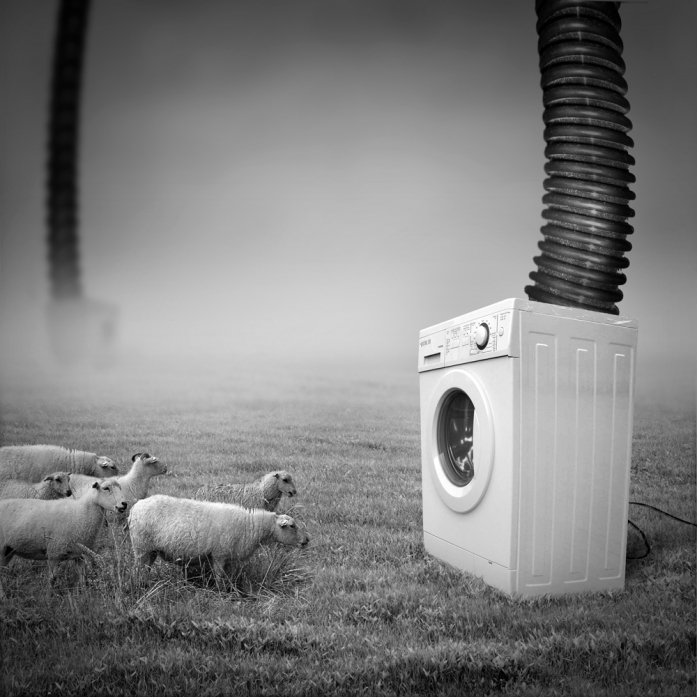 Brain Washing Machine, processing by Navid Sanati. In Nature, Animal