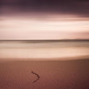 Drawn By Nature by Zoltan Bekefy