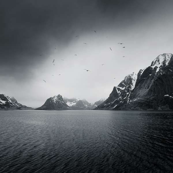 Nordland,Norway. In Nature, Scenery, Waterscape. Land For Seagulls, photography by Zoltan Bekefy. Image #393916