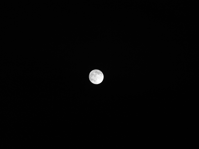 Moon, Artwork by Ionescu Alexandru. Olympus E-520. Digital Photo