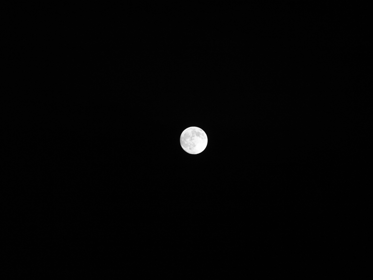 Moon2, Artwork by Ionescu Alexandru. Olympus E-520. Digital Photo