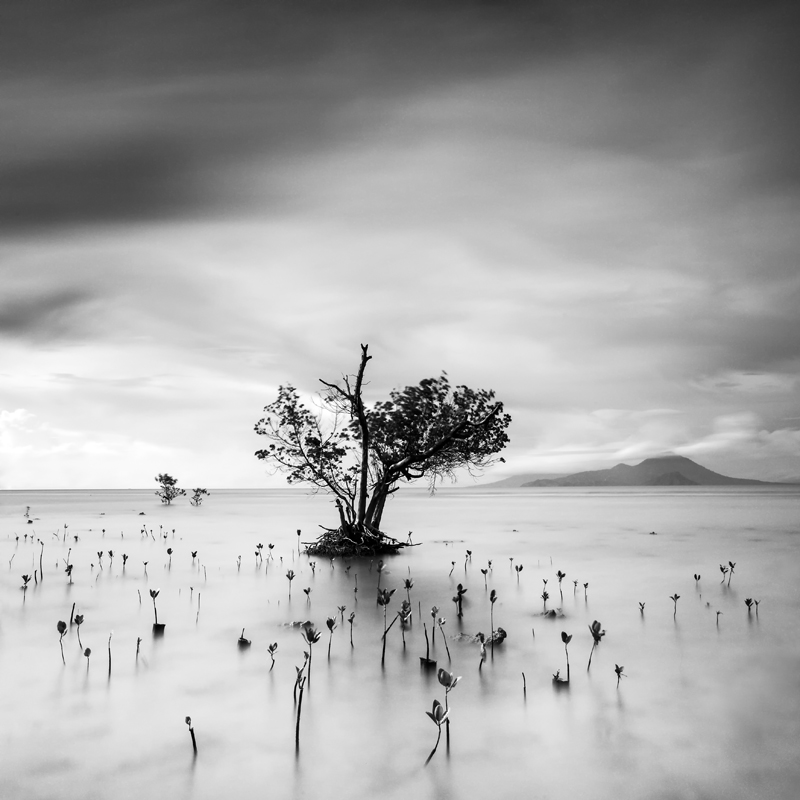 canon. long exposure. In Nature, Scenery, Waterscape. Untitled 6381, photography by Asep Yusuf Tazul Arifin. Image #387392