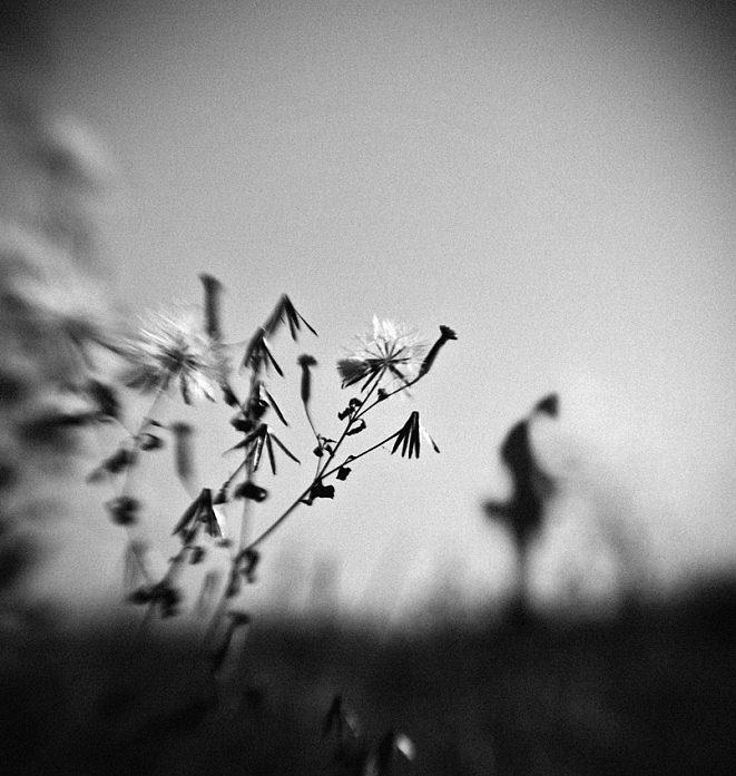 Elegy, photography by Hengki Lee. Sony Alpha 850, Lensbaby. In People, Miscellaneous, Female