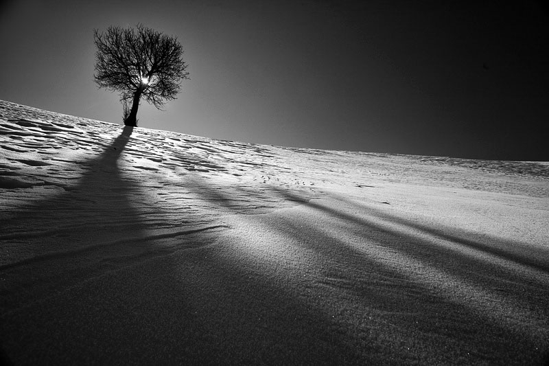 Untitled, Artwork by Ali Shokri. Thanks for your comments,
http://www.alishokri.com. canon 5d. none. In Nature, Scenery