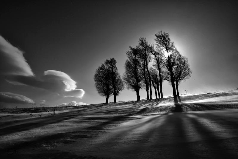 Untitled, Artwork by Ali Shokri. Thanks for your comments. Canon Eos 1Ds Mark II . Canon 17-40L